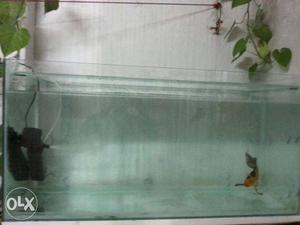 New aquarium with stand one koi craf fish one