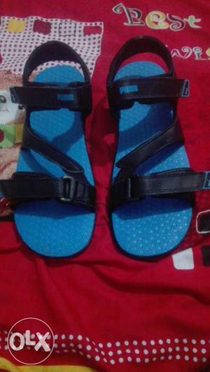 Pair Of Black-and-blue Sandals