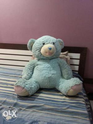 Teal And blue Teddy Bear