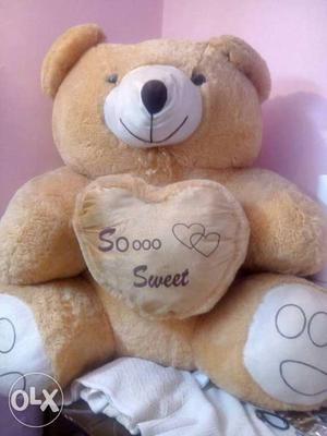 Teddy Bear Mkt. Price /- Height Approx 45 inches Clean,