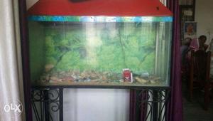 Fish pond with stand
