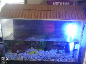 Rectangular Fish tank with Aquarium light, filter