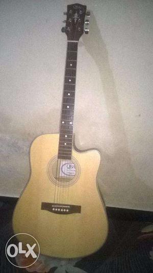 Semi electric Hollow guitar three month old