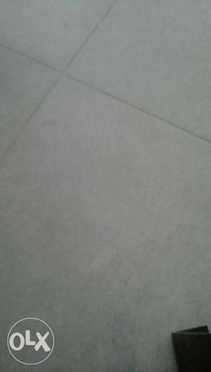 White Floor Tile