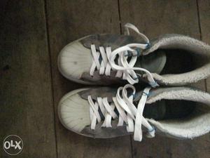 Adidas neo sports shoe in 7 out of 10 condition