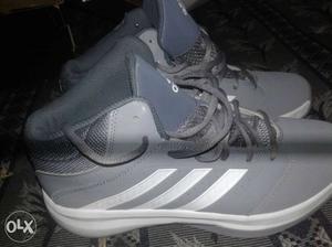 Pair Of Gray Adidas Basketball Shoes
