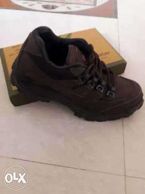Unpaired Black Hiking Shoe On Box