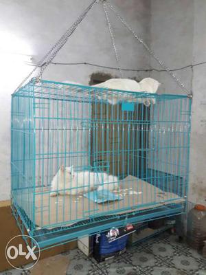 3 ft cage foldable for sell