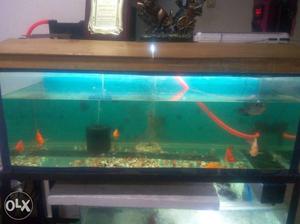 4Ft fish tank for sale