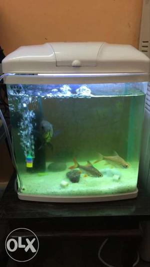 Aquarium with filter and sand and with led light.