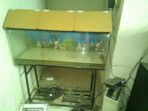Aquarium with metal stand, roof and case...very
