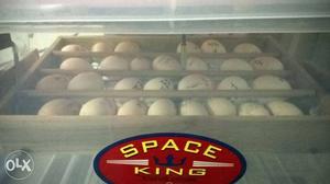Egg incubator in kerala Technique incubator