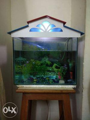 Fish Aquarium 6months old With Gold fish Filter