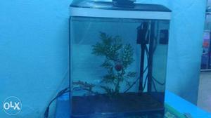 Full set imorted tank with built in filter and