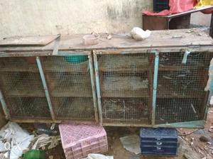 Gray 4-doors Chicken Cage