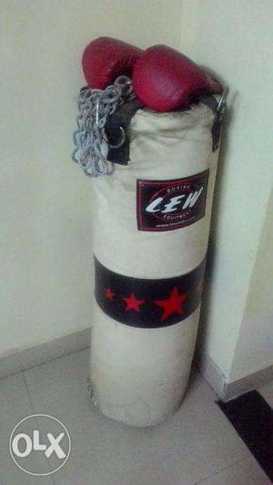 Punching bag with Boxing Gloves and hanger