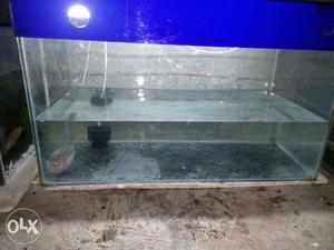 Rectangular Blue Frame Fish Tank