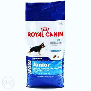Royal Canin Maxi junior 4kg