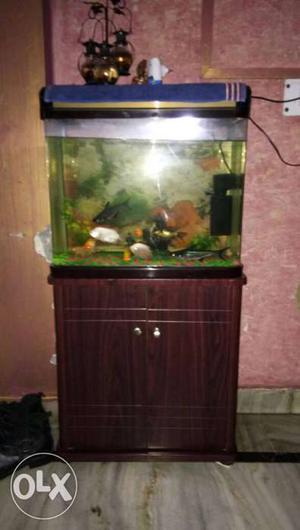 Tank size 24"width 18"lenth with trolly. with all