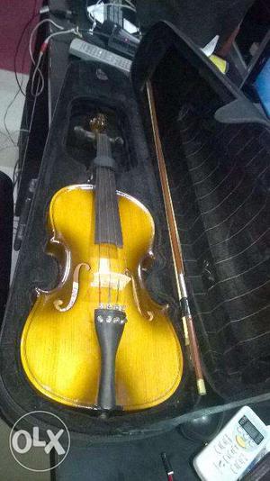 VIOLIN for sell 4k