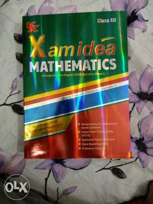 X Am Idea Mathematics Textbook