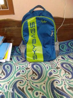 Blue And Green SkyBags Backpack