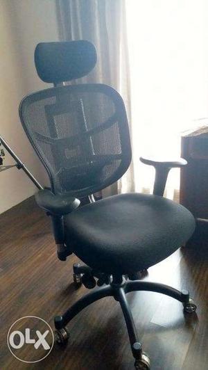 Executive Office Chair, High Back Adjustable chair, Mint
