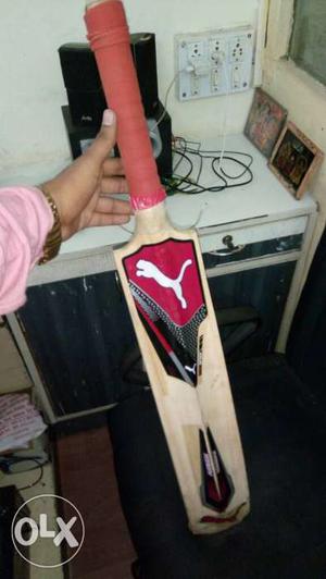 My double tennis bat puma new only 1 day used new