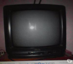 TV Pune