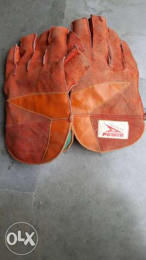 Wicket Keeping Gloves 1 month used but amazing