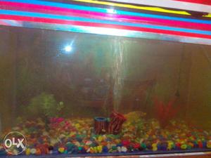 Aquariam in very good condition height1ft6,