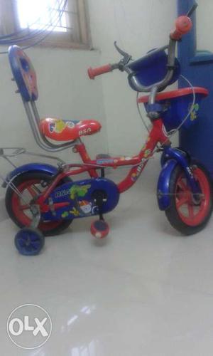 BSA Kids Bicycle