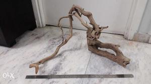 Big size Driftwood in cheap rate.