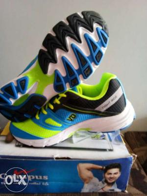 Black-green-blue Low Top Sneakers On Box