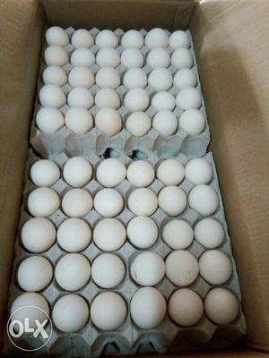 Egg Wholesaler In Lucknow Contact For Supply Eggs