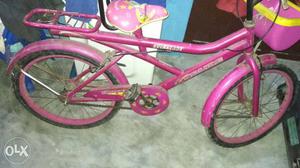 Girl's Pink Bicycle