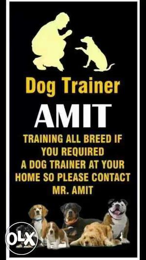 Hello I'm a Amit dog trainer if you require a dog call me