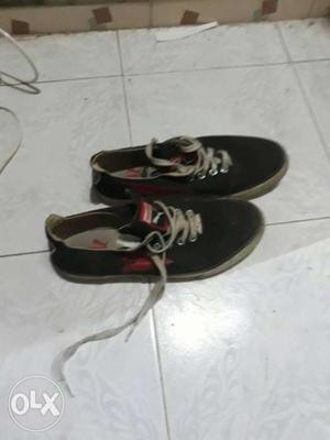 Original Black-and-grey Puma Sneakers (2months used)