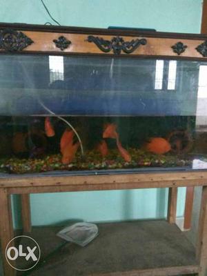 Rectangular Brown Wooden Framed Fish Tank