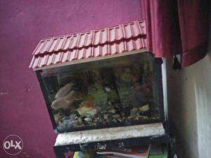 This fish tank very good condition... 18/9