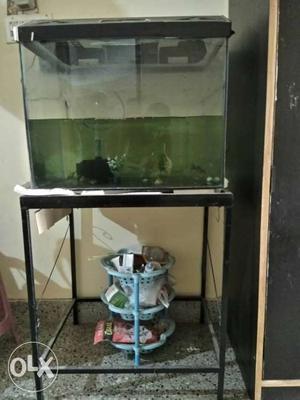 4 feet aquarium with stand and 12 fishes for sale