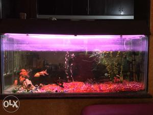 4 ft used fish tank for sale