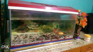 Aquarium for sell along with pump set, appox