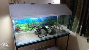Aquarium with stand, light suitable for plants, drift wood,