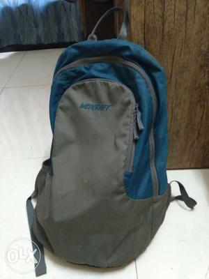 Blue And Gray Backpack