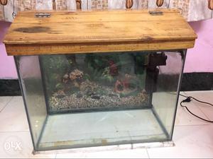 Fish Tank with Boyu filter