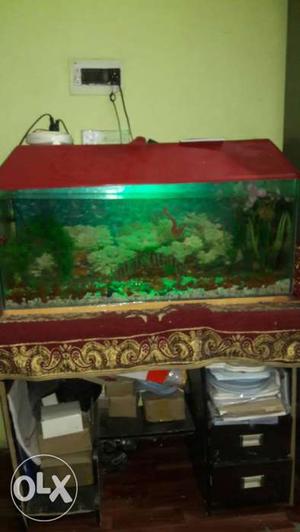 Fish aquerium (fish,filter, oxygen, heater, marbles)