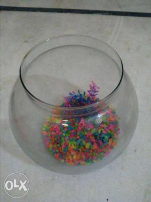 Fish bowl on rent 10 rupees for 1 day