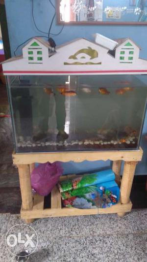 Fish tank  and motar and fish with