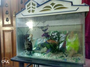 Fish tank with motor and interior and with fish